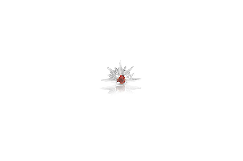 Garnet Crystal Asteroid Titanium Stud